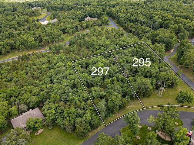 297 Kramer Ln, Saddlebrooke, MO 65630