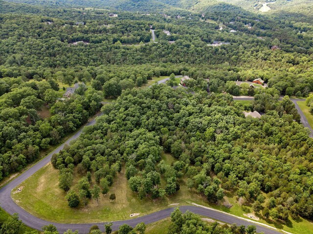 297 Kramer Ln, Saddlebrooke, MO 65630