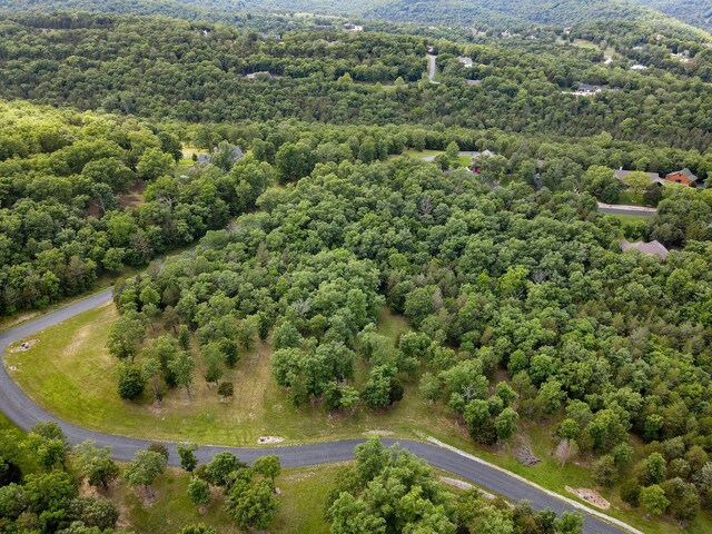 297 Kramer Ln, Saddlebrooke, MO 65630
