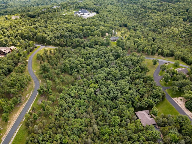 297 Kramer Ln, Saddlebrooke, MO 65630
