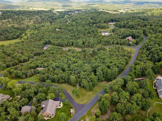 297 Kramer Ln, Saddlebrooke, MO 65630