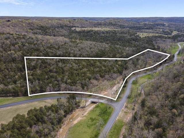 6.76ACRES Saddlebrooke Dr, Saddlebrooke, MO 65630 - photo 4