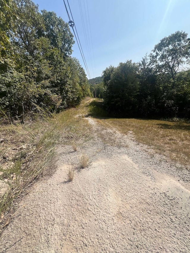 LOT11 Turtle Cove Ln, Reeds Spring, MO 65737