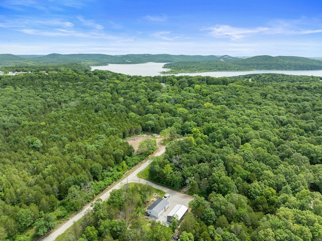 bird's eye view with a water and mountain view