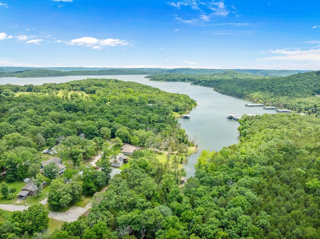 drone / aerial view with a water view