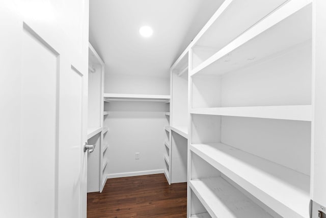 spacious closet featuring dark hardwood / wood-style floors