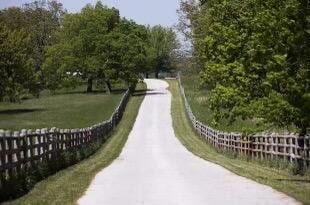 surrounding community featuring a yard