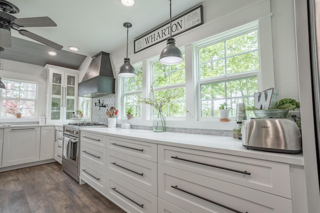 kitchen with decorative backsplash, stainless steel stove, white cabinets, premium range hood, and dark wood-type flooring