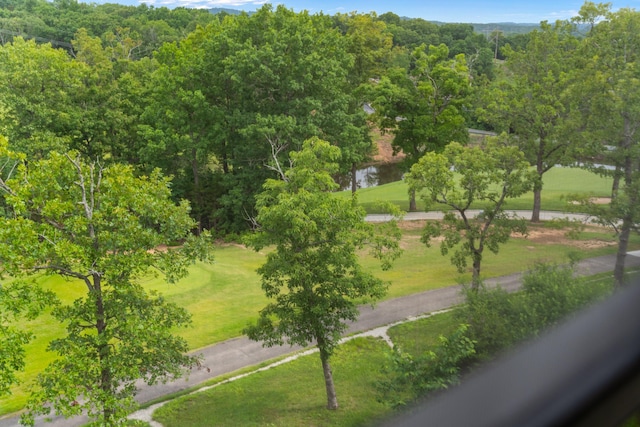 view of community featuring a water view and a yard
