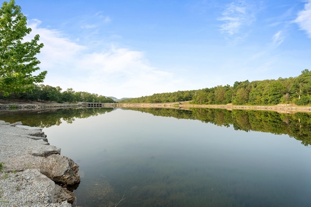 property view of water featuring a wooded view