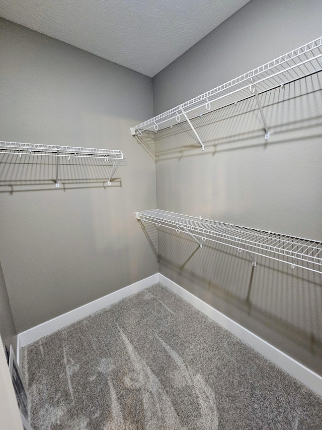 walk in closet featuring carpet flooring