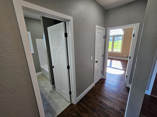 hall featuring dark hardwood / wood-style floors