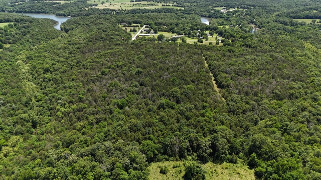 000 1st St, Eagle Rock, MO 65641 - photo 3
