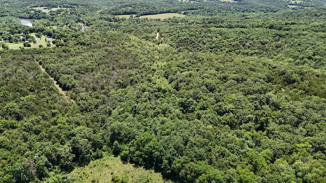 000 1st St, Eagle Rock, MO 65641 - photo 4