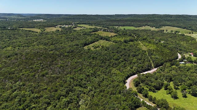 000 1st St, Eagle Rock, MO 65641 - photo 6