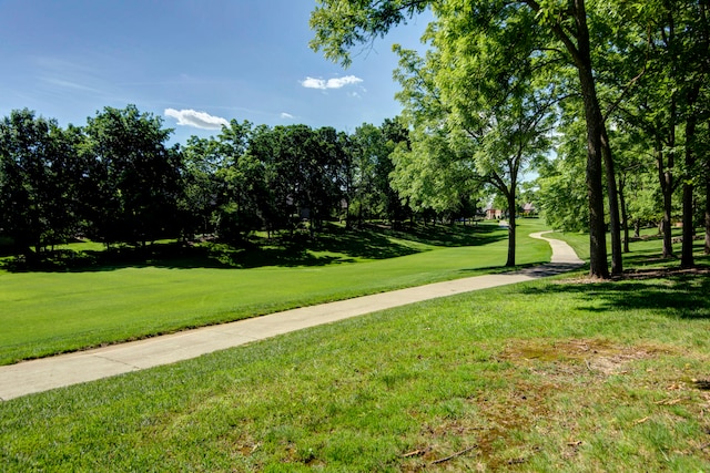 view of community featuring a lawn