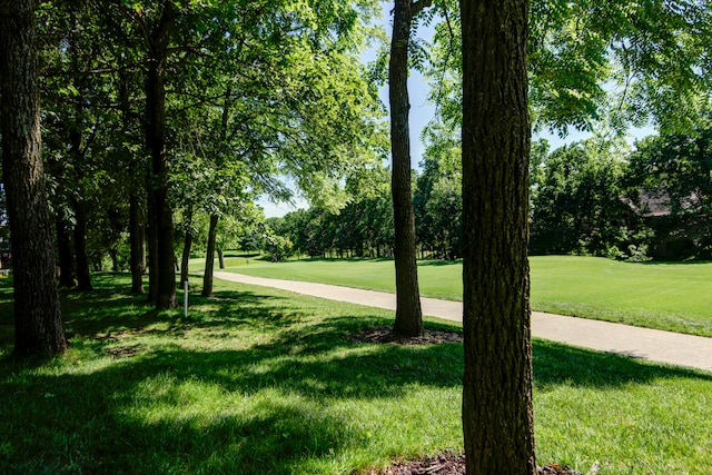 view of community with a lawn