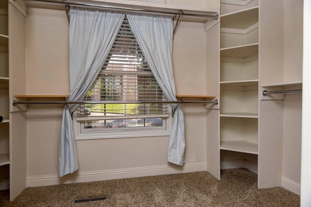 walk in closet featuring carpet