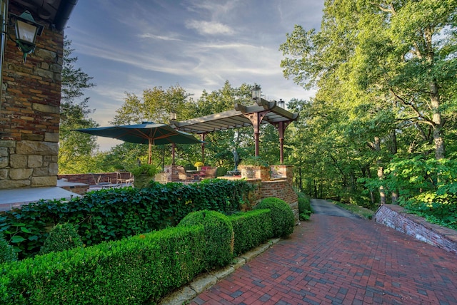 view of patio featuring a pergola