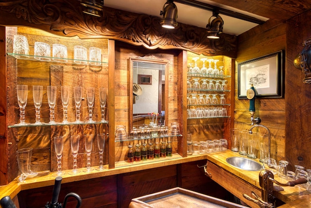 wine cellar with wet bar and wooden walls