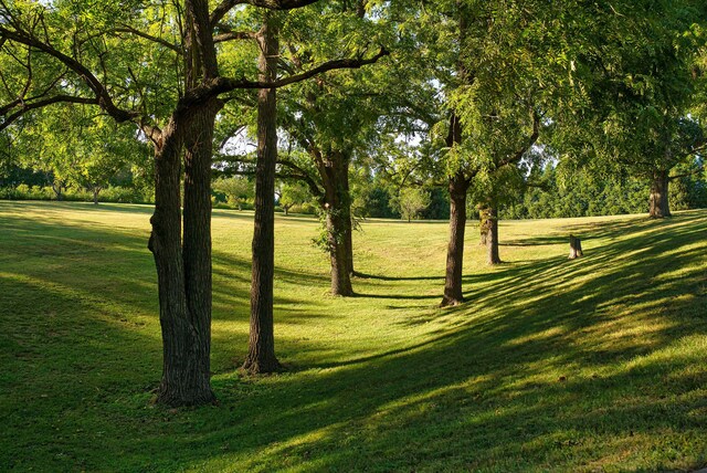 surrounding community with a yard