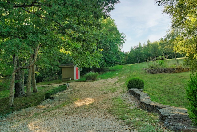 view of yard with a shed