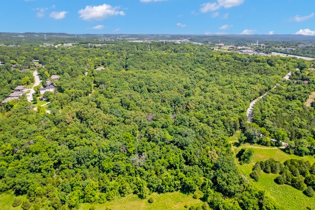 301 Cahill Rd, Branson MO, 65616 land for sale