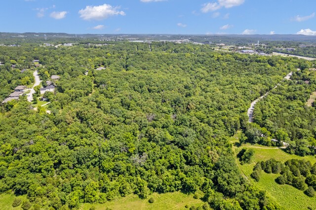 301 Cahill Rd, Branson, MO 65616