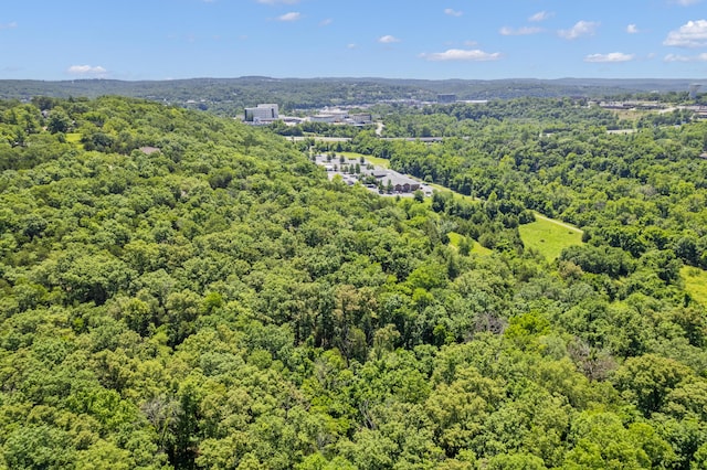 301 Cahill Rd, Branson, MO 65616
