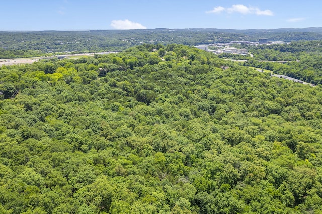 301 Cahill Rd, Branson, MO 65616
