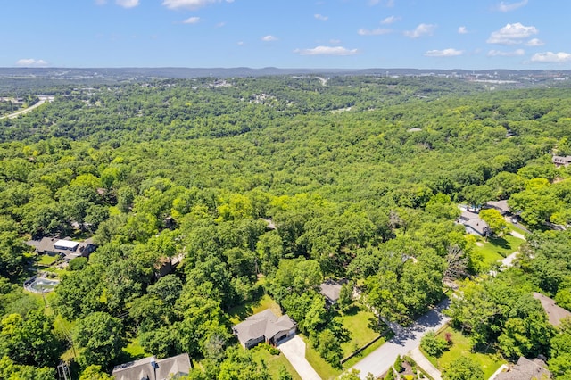301 Cahill Rd, Branson, MO 65616