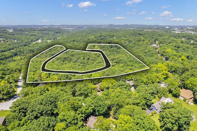 301 Cahill Rd, Branson, MO 65616