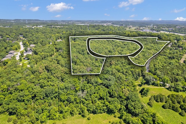 301 Cahill Rd, Branson, MO 65616