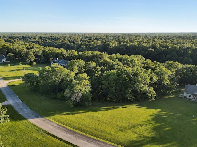 Listing photo 3 for Tbd Buena Vista Parkway, Strafford MO 65757