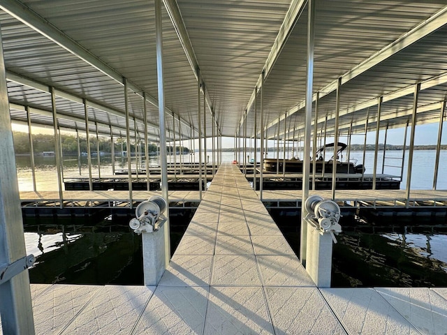 dock area with a water view