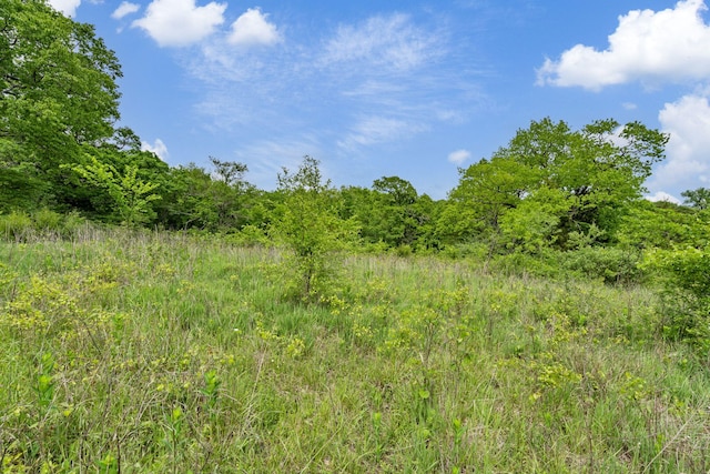 LOT16 Palomino Rd, Cape Fair, MO 65624