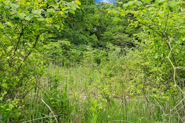 LOT16 Palomino Rd, Cape Fair, MO 65624