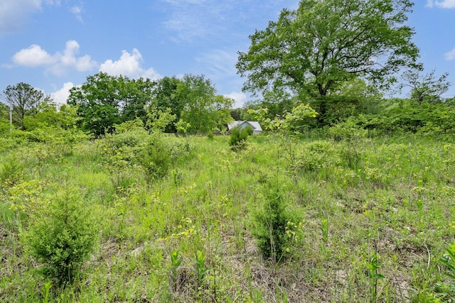 LOT16 Palomino Rd, Cape Fair, MO 65624