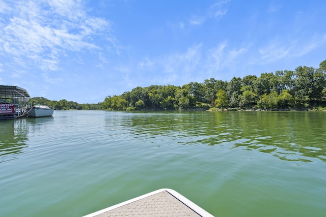 LOT16 Palomino Rd, Cape Fair, MO 65624