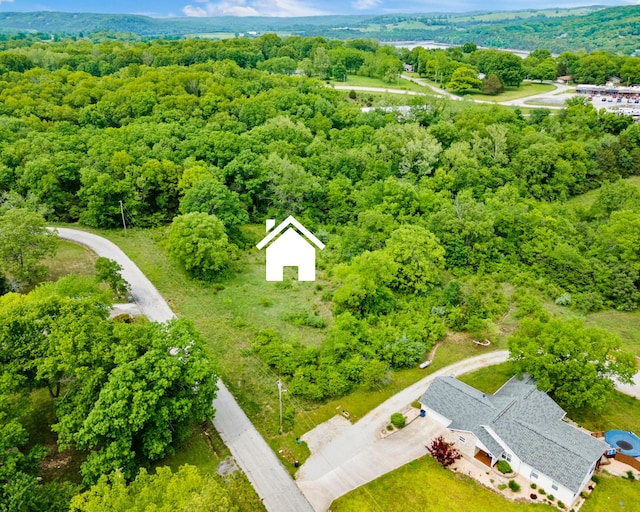 LOT16 Palomino Rd, Cape Fair, MO 65624