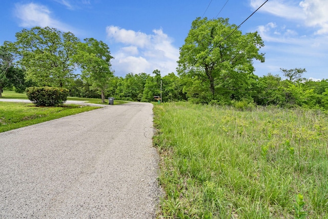 LOT16 Palomino Rd, Cape Fair, MO 65624