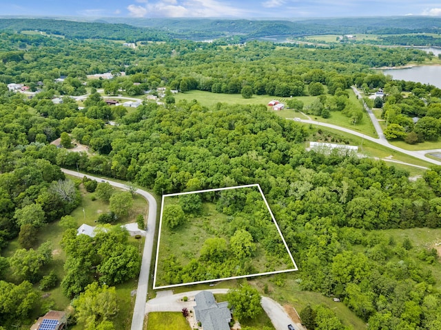 LOT16 Palomino Rd, Cape Fair, MO 65624