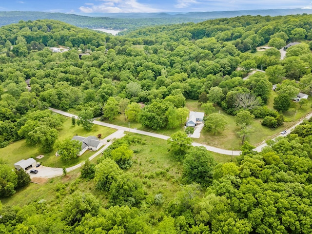 LOT16 Palomino Rd, Cape Fair, MO 65624