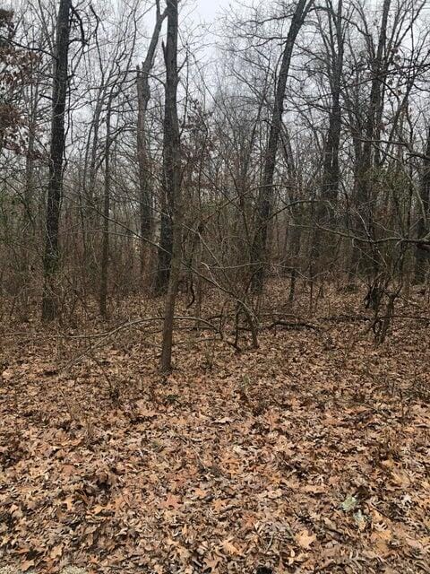 000 County Road 6110, West Plains MO, 65775 land for sale