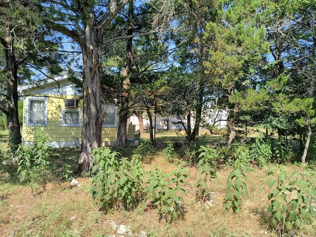 232 Jewel Ave, Protem, MO 65733 - photo 5