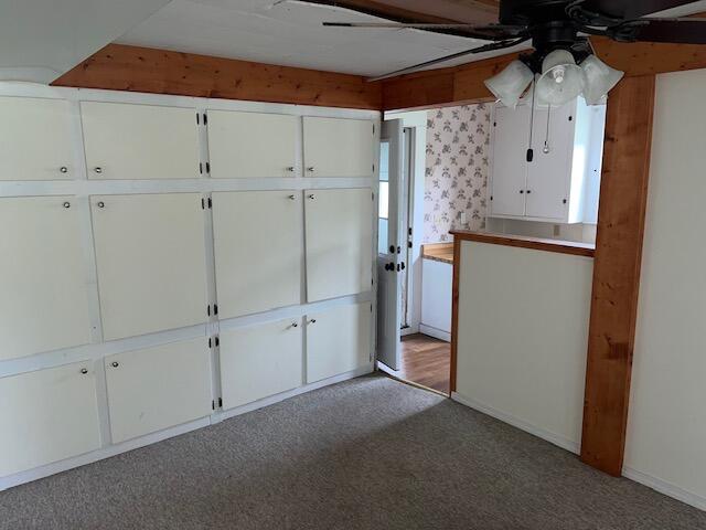 basement featuring carpet and ceiling fan