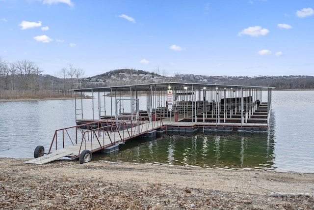 dock area with a water view