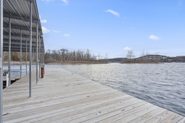 dock area with a water view