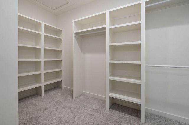 spacious closet with light carpet