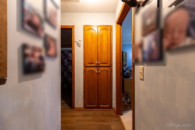 hallway with hardwood / wood-style flooring